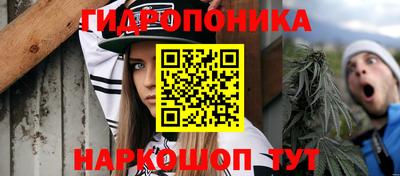 тгк Владивосток