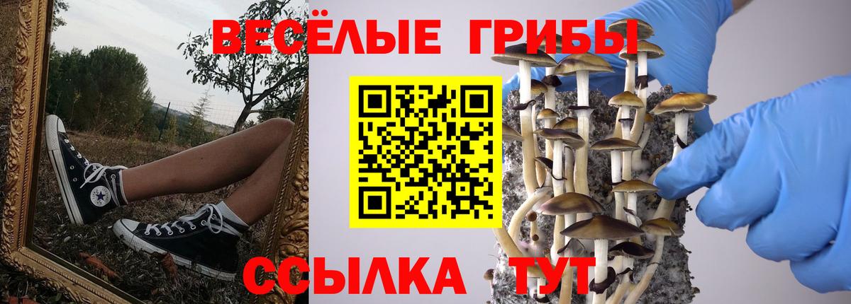 Галлюциногенные грибы прущие грибы Киселёвск