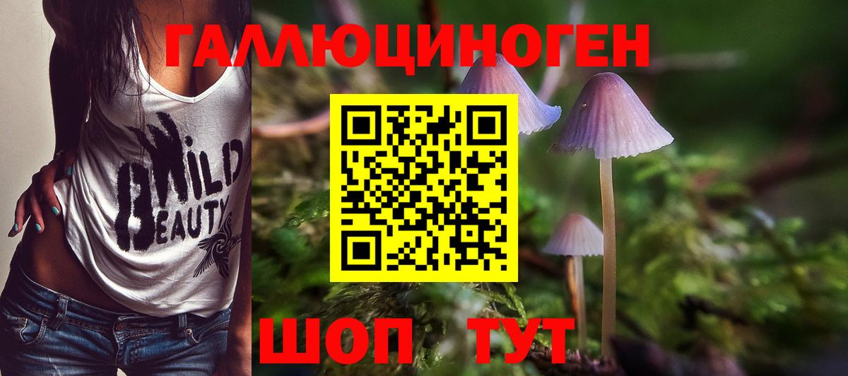 Псилоцибиновые грибы Magic Shrooms  Псилоцибиновые грибы GOLDEN TEACHER  Киселёвск  Вход с VPN 